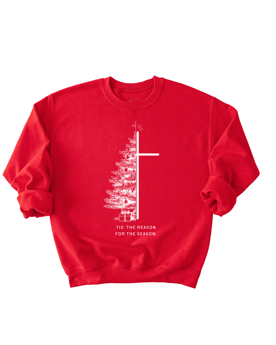 Tis' the Reason for the Seaon Adult Pullover