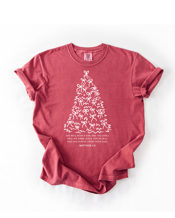 The Angel's Message Tee - Matthew 1:21