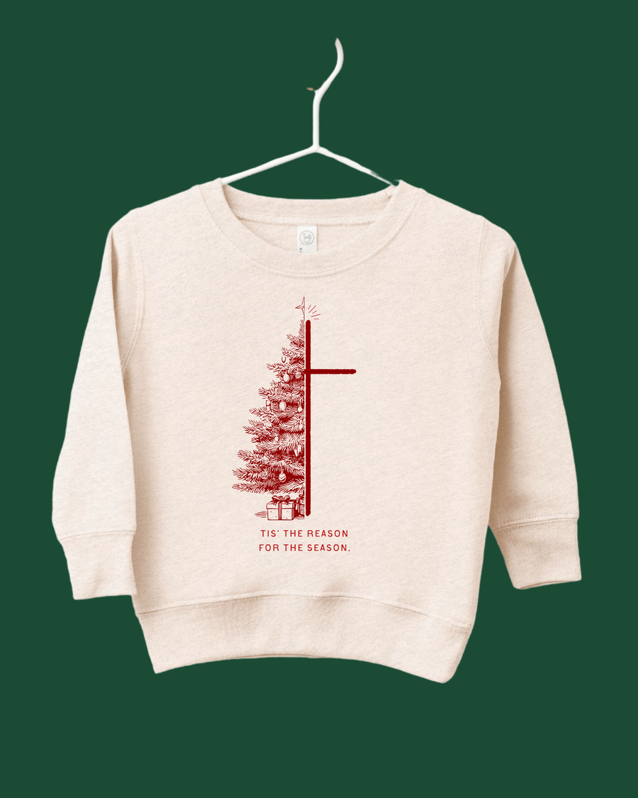 Tis the Reason For the Season Kids Tee/Pullover