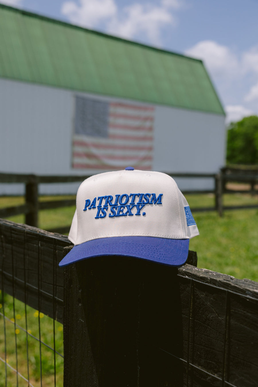 Patriotism is Sexy. - Royal Blue Vintage Hat