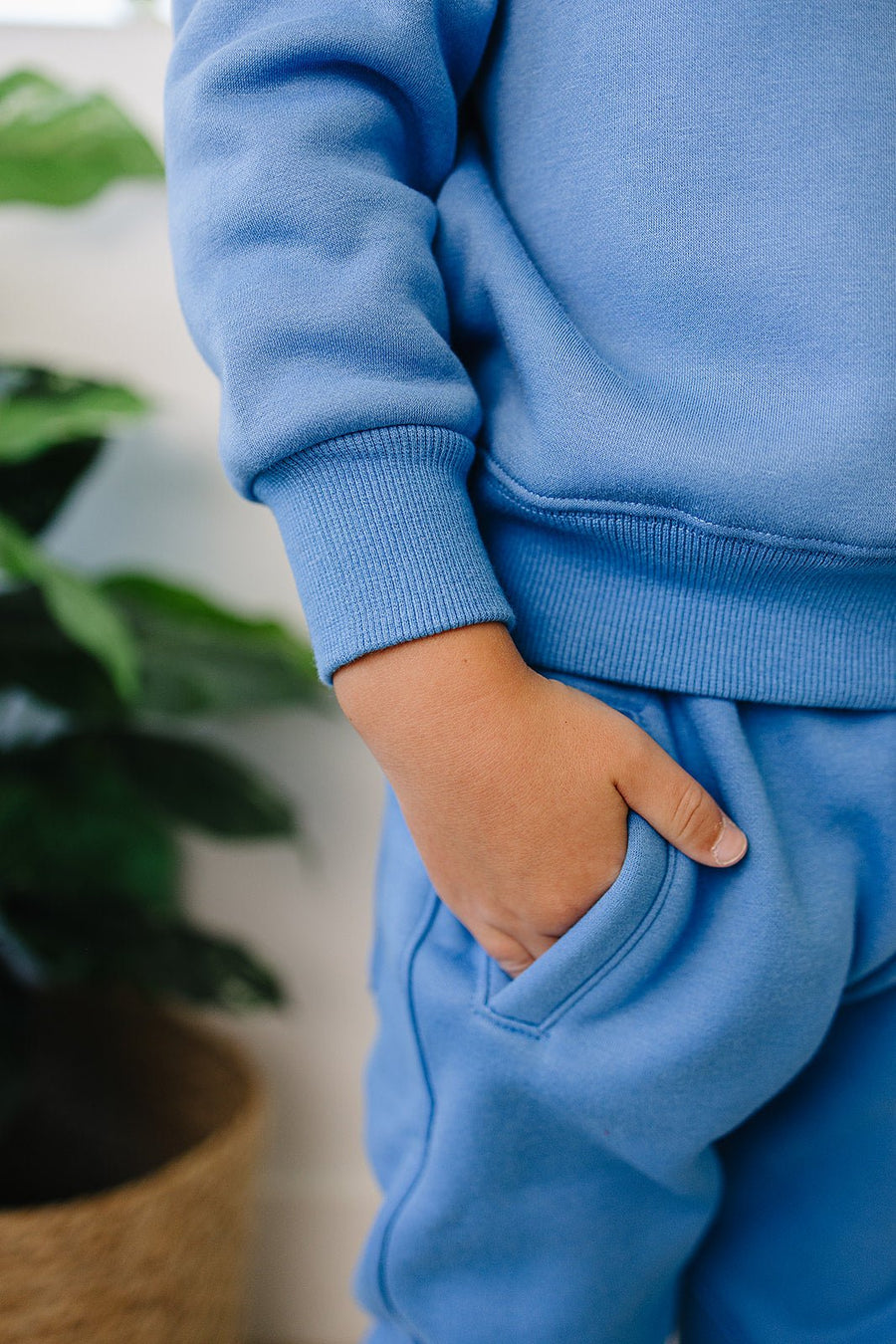 OLIVE + SCOUT Walker Jogger Set (COLLECTIVE)